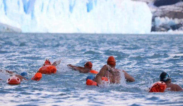 Swimming World Cup