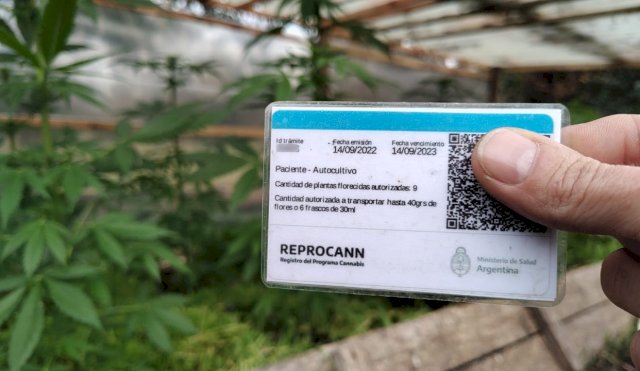 reprocann
